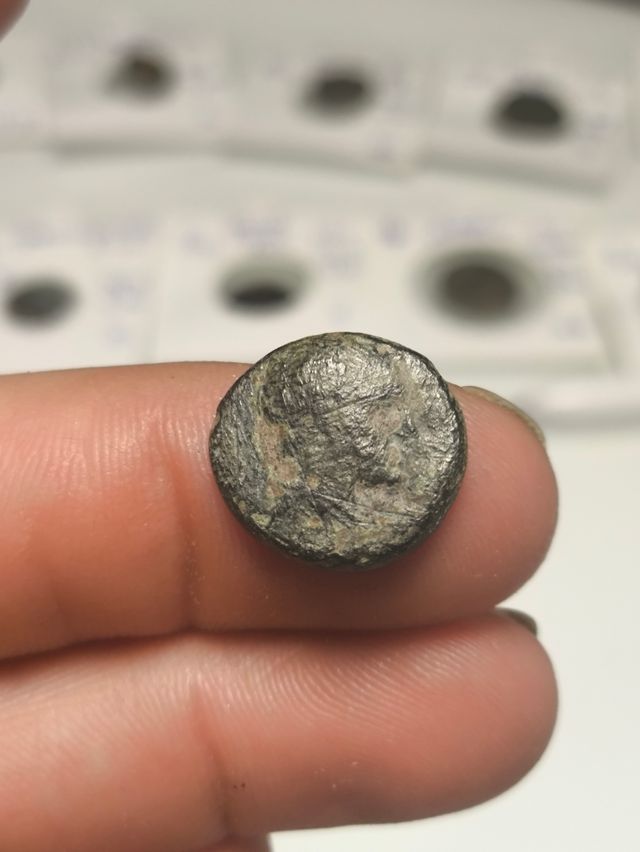 Moneda Griega Paphlagonia Sinope