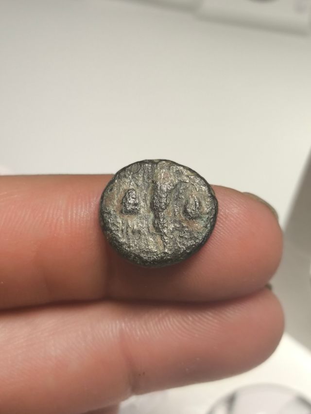 Moneda Griega Paphlagonia Sinope