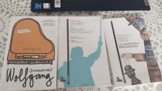 Libros 1o ESO, 3 de texto y cuadernillos de mates.