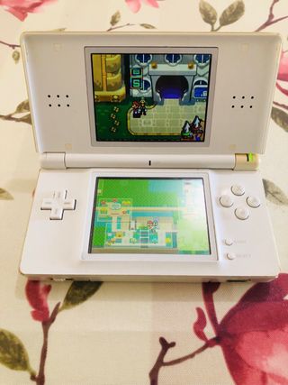 Nintendo DS Mario y Luigi