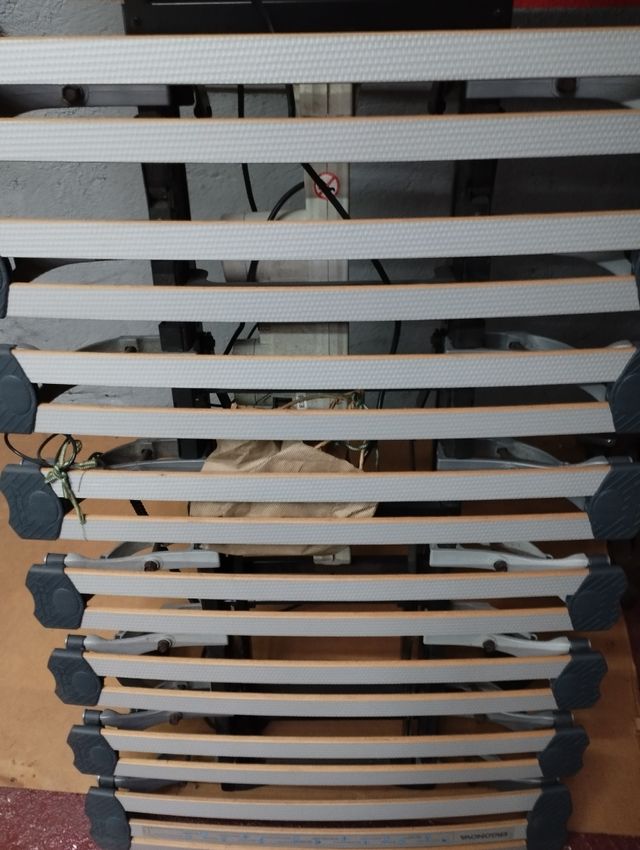 Cama eléctrica articulada