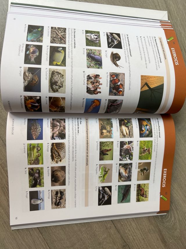 Biologia i Geologia 1 ESO