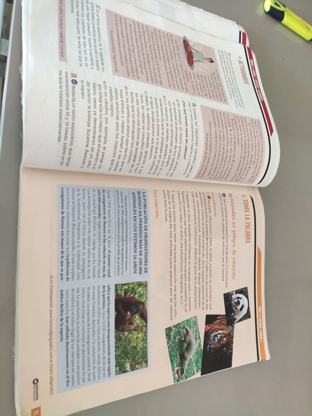 Concepción Arenal 2 ESO. Lengua castellana: Novetat