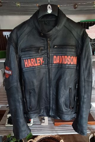 Cazadora Harley Davidson Piel