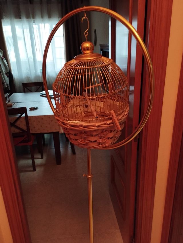 Jaula pajaros dorada con pie