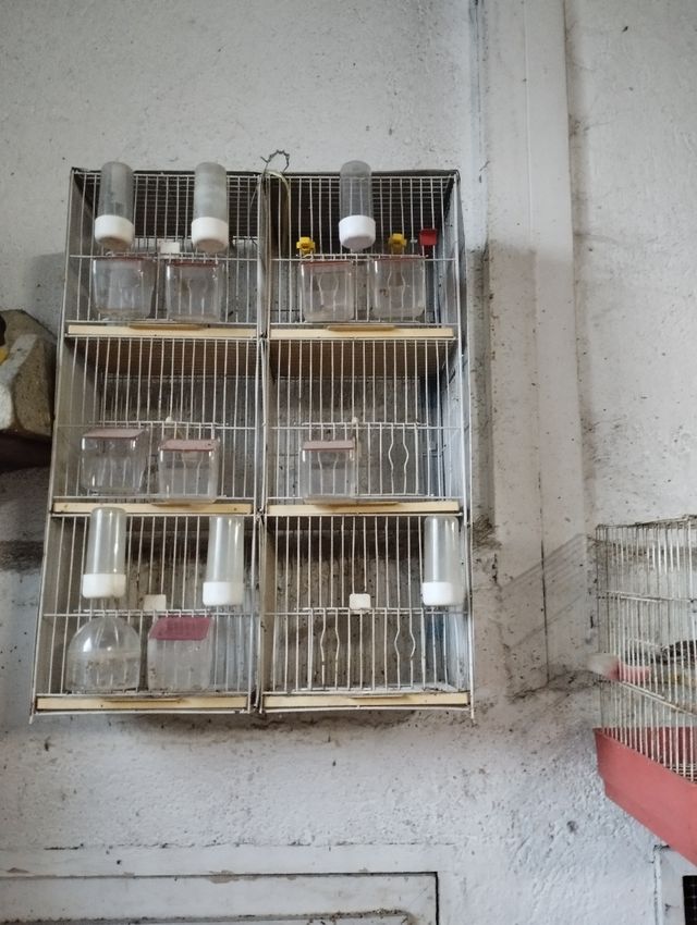 Jaula pajaros dorada con pie