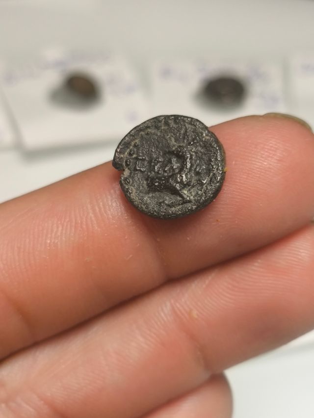 Moneda Griega Pisida Selge Antigua