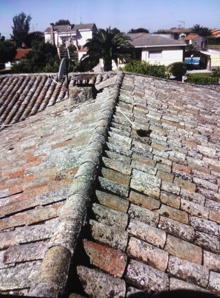 Reparación en tejados