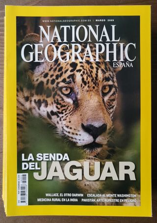 12 números de mayo de 2008 a abril 2009 + marzo 08