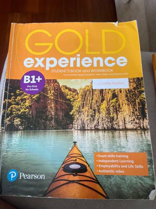 Gold experience B1+