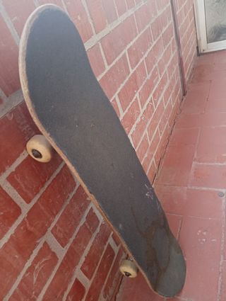 Skate Globe 