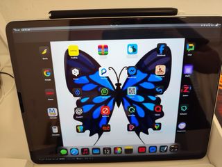 iPad Pro 12.9"  M1, 256gb