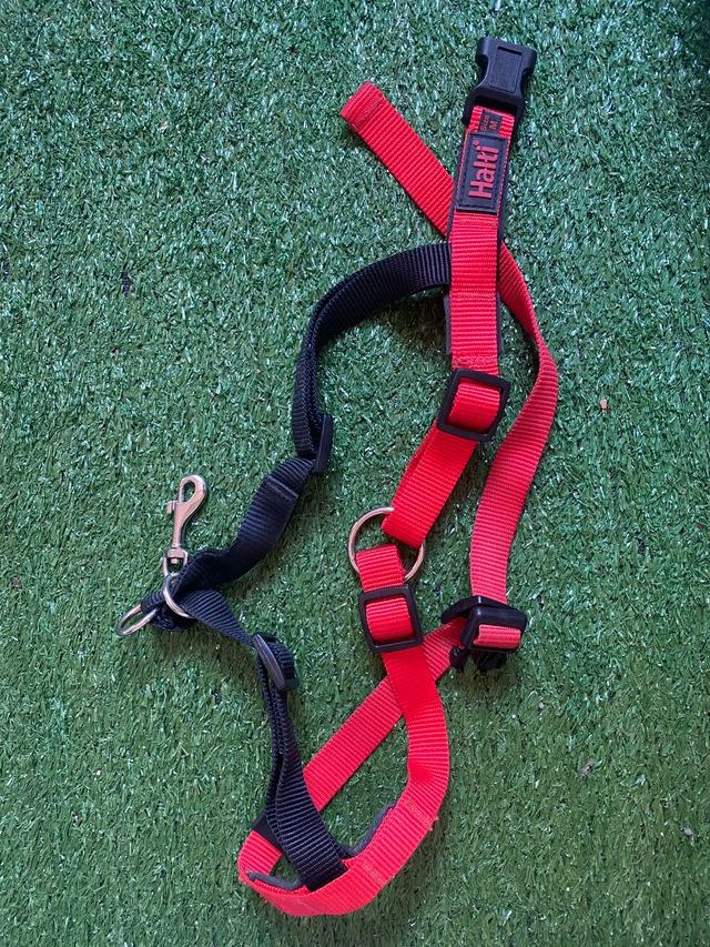 Imbracatura Halti anti-trazione taglia M