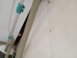 Plancha de vapor Klindo