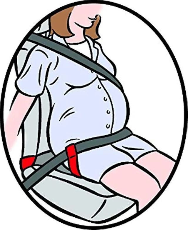 Cinturón seguridad embarazo Clipsafe