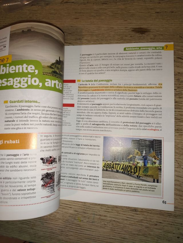 Cittadinanza e costituzione