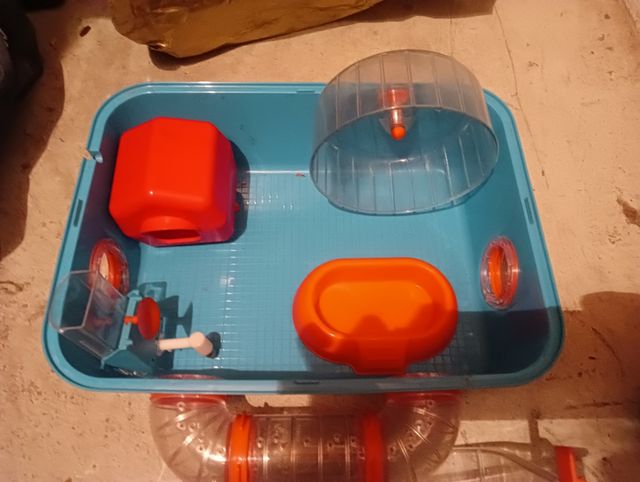 Gabbia per criceto blu e arancione