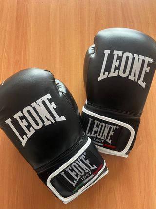 Guantes boxeo Leone & Flash 10oz