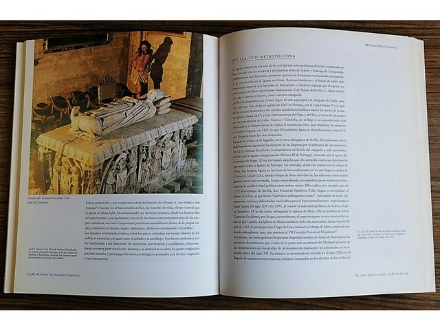 CATEDRAL MAGNA HISPALENSIS UNIVERSO DE UNA IGLESIA