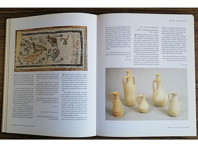 CATEDRAL MAGNA HISPALENSIS UNIVERSO DE UNA IGLESIA