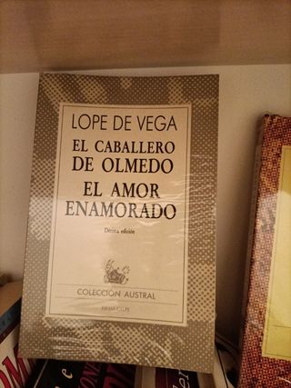 Lote 9 libros de literatura española 