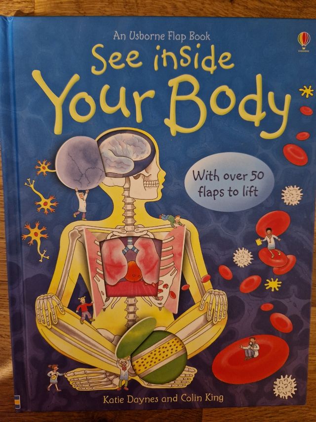 see-inside-your-body--usborne-flap-books-