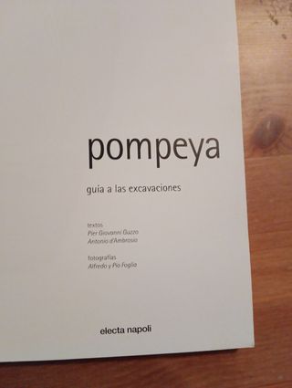 Pompeya. Guía a las excavaciones