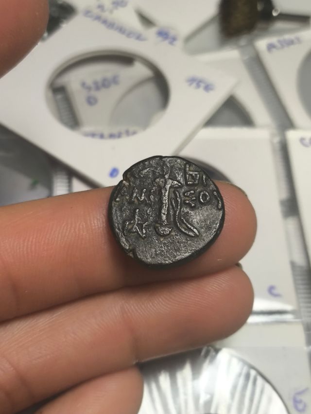 Moneda Griega Amisos, Póntico