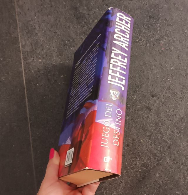 Juego del destino / Sons of Fortune (Spanish Ed...