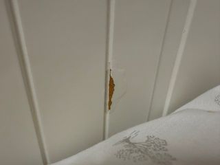 Cama nido Ikea Hemnes blanca