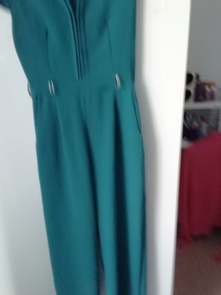 Mono verde esmeralda 