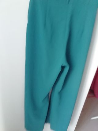 Mono verde esmeralda 
