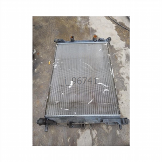 Radiador agua Renault Scenic II (2003-2009