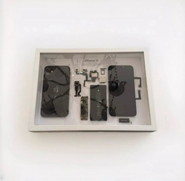 Quadro iPhone 11: componenti