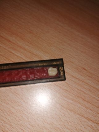 Denti finti scherzo - GnatoStar