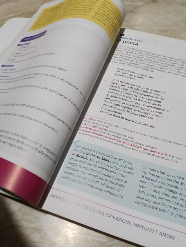 Nel cielo terso B Edizione gialla