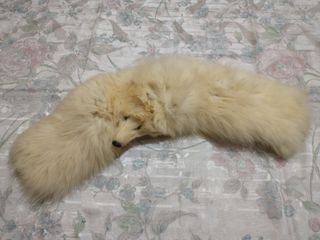 Antic escalfamans de pell / Manguito