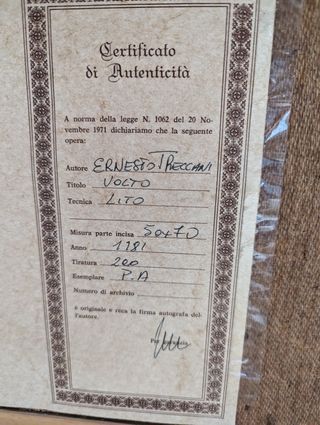 Litografia Treccani - 1981