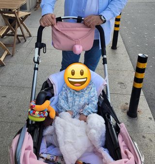 Bugaboo camaleón 3 capazo y silla