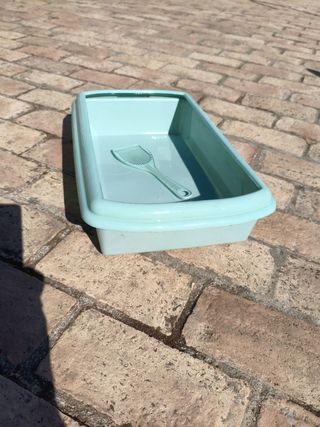 Arenero Gato - Mint