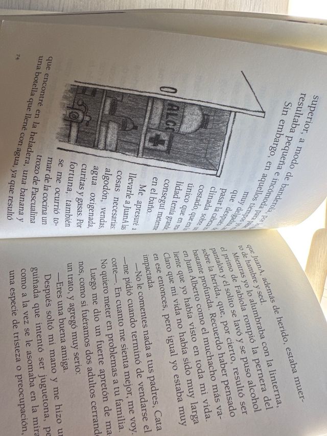 El año de los secretos (Ala Delta; Serie: Verde...