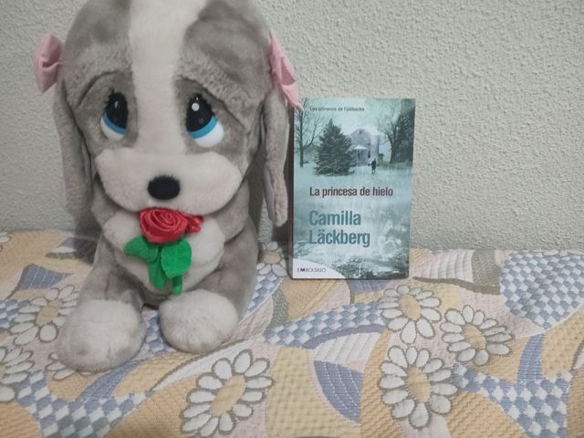 La princesa de hielo: Misterios y secretos fami...