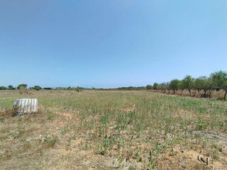 Solar en venta en Santa Margalida en Santa Margalida