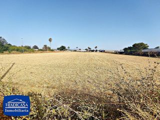 Terreno en venta en Noreste-Granja en Jerez de la Frontera