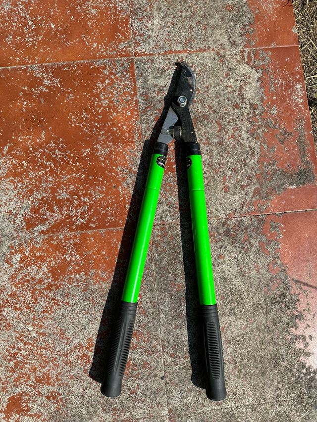 Tijeras telescopica de poda