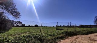 Terreno en venta en Almensilla