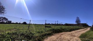 Terreno en venta en Almensilla