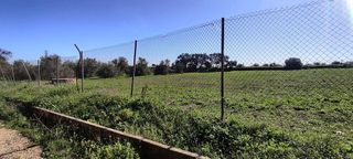 Terreno en venta en Almensilla