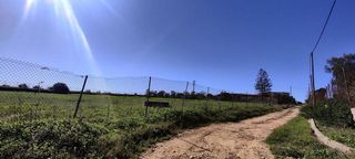 Terreno en venta en Almensilla