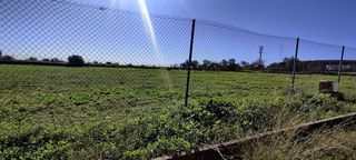 Terreno en venta en Almensilla